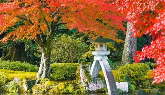 金澤賞楓 金澤賞楓