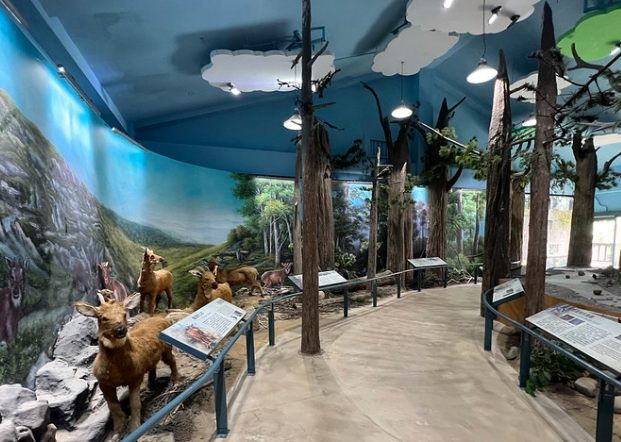 苗栗免費室內場所