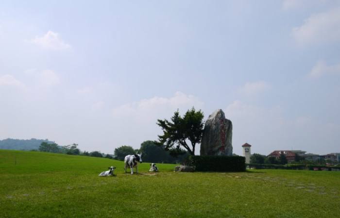 台灣農場歷史 台灣農場歷史