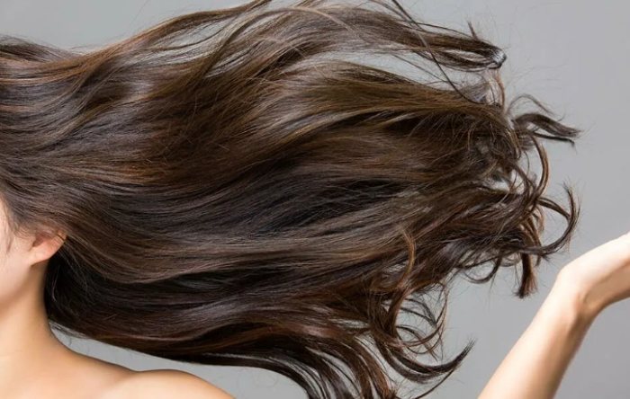 椰子油護髮 椰子油護髮