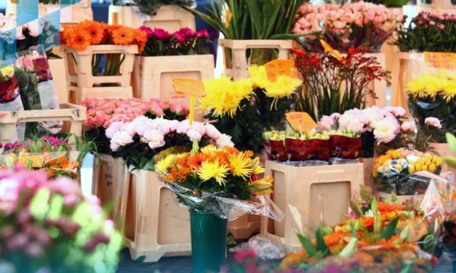 中壢花卉市場 中壢花卉市場