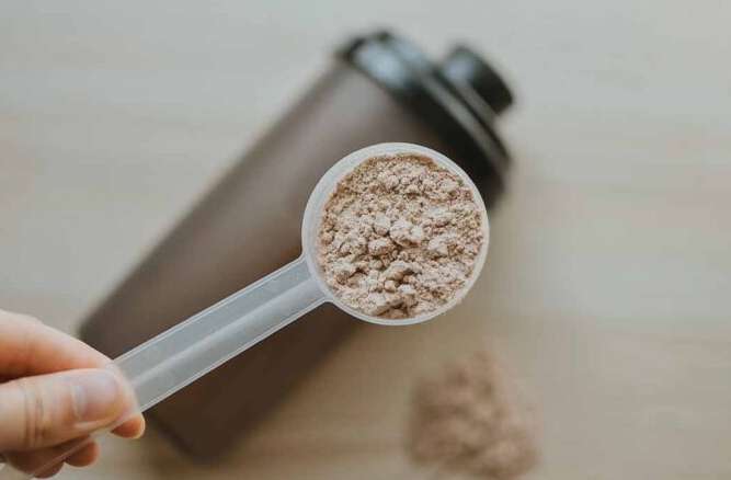 蛋白粉怎麼喝 蛋白粉怎麼喝