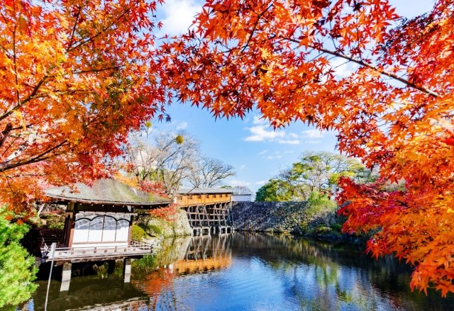 和歌山城周邊旅遊