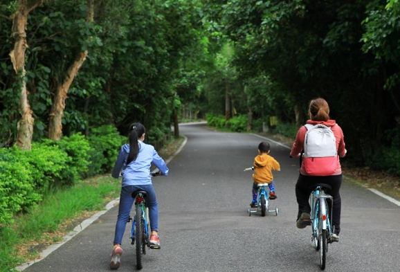桃園龜山一日遊 桃園龜山一日遊
