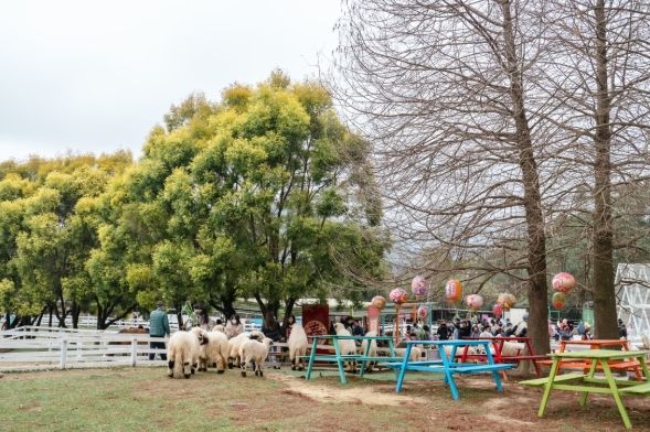 新北農場體驗 新北農場體驗