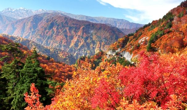 金澤楓葉季節 金澤楓葉季節