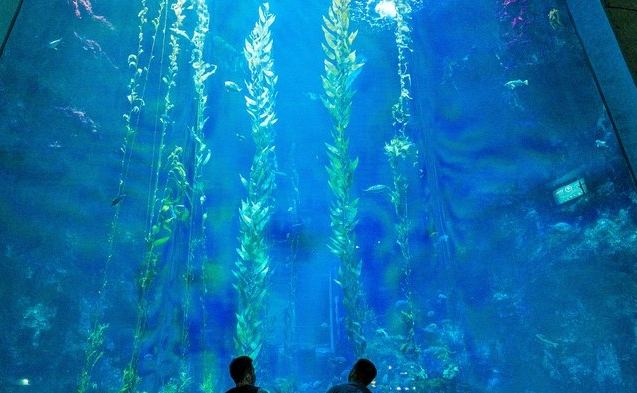 屏東旅遊規劃 屏東旅遊規劃