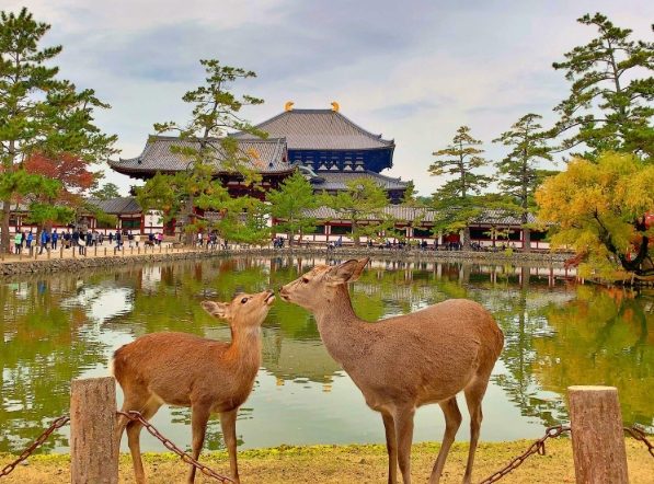 關西自由行攻略 關西自由行攻略