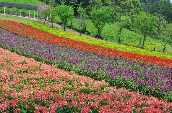 桃园亲子农场 桃园亲子农场