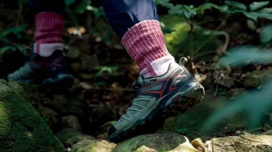 台灣螢火蟲景點