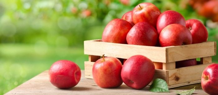 史上最大規模研究蘋果