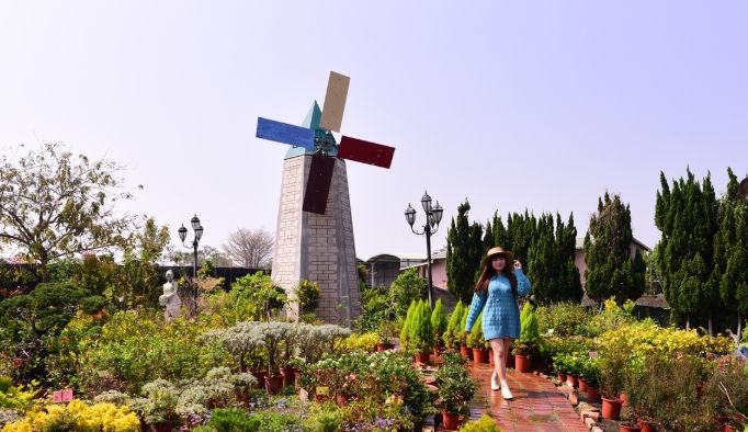 歸仁一日遊行程