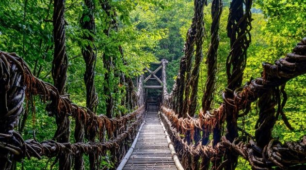 藤蔓橋附近餐廳 藤蔓橋附近餐廳