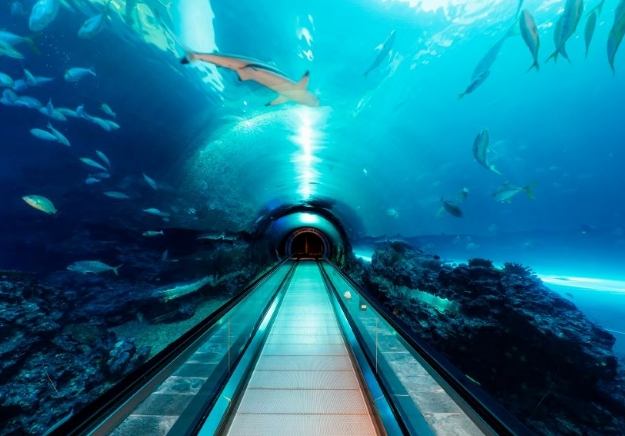 海生館夜宿體驗 海生館夜宿體驗