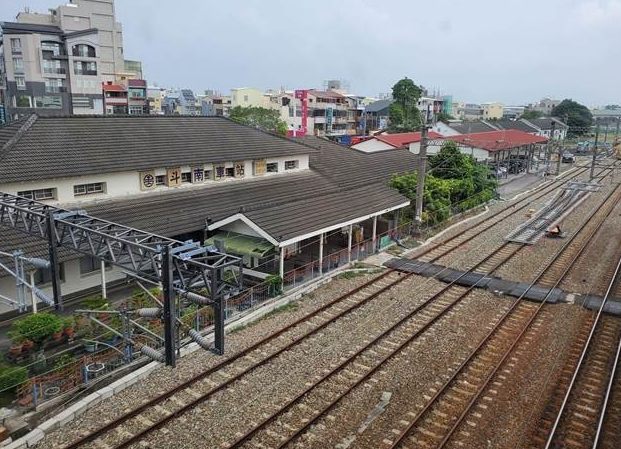 斗南花市購買技巧