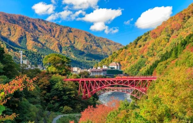 富山復魚區 富山復魚區