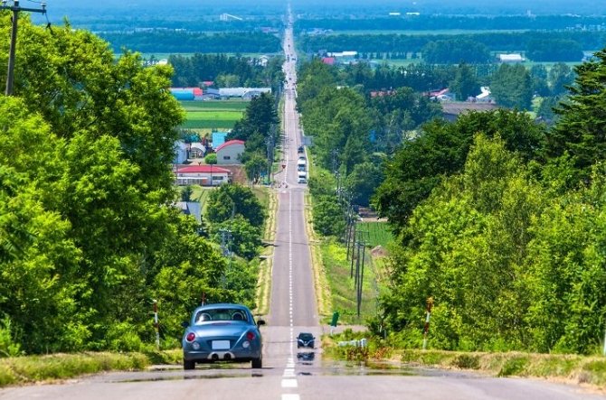 北海道自駕遊攻略
