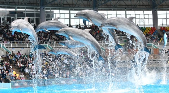 和歌山家庭景點 和歌山家庭景點