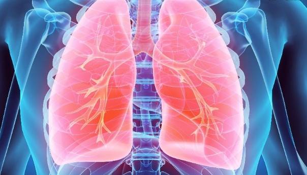 戒菸肺部恢复