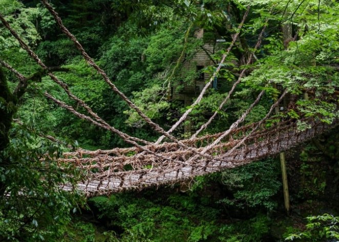 德島祖谷蔓橋攻略