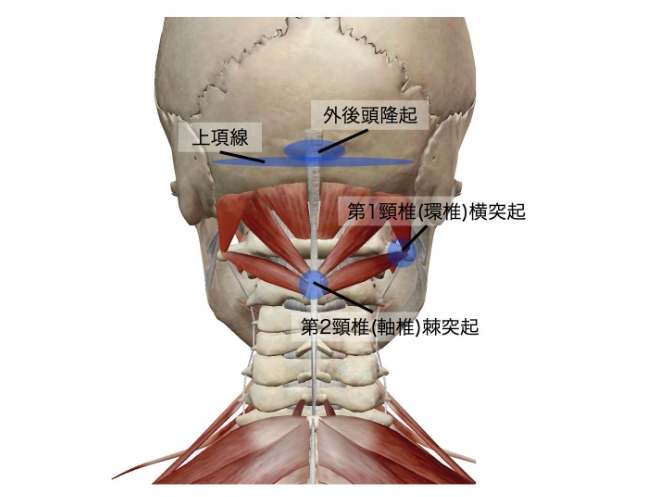 淋巴結腫大治療