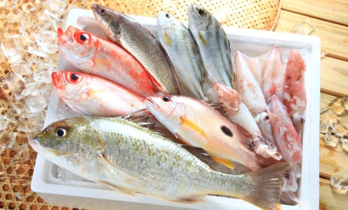 台灣海洋魚類分布 台灣海洋魚類分布