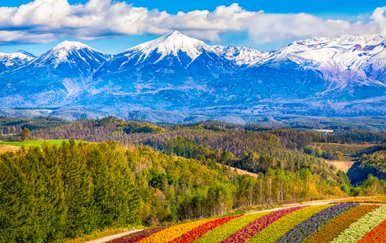 北海道交通替代 北海道交通替代