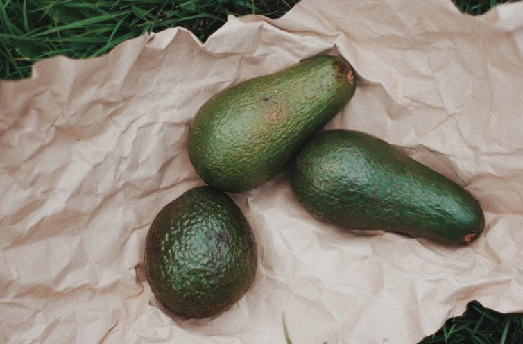 酪梨變黑處理 酪梨變黑處理