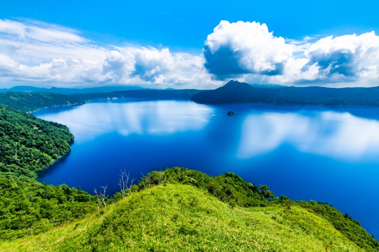 北海道交通替代 北海道交通替代