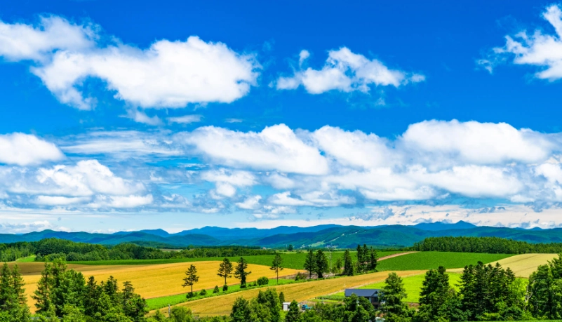 北海道自駕遊限制 北海道自駕遊限制