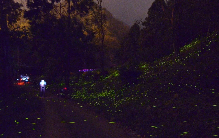 那瑪夏步道推薦