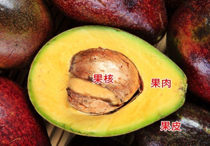 硬酪梨食用方法 硬酪梨食用方法