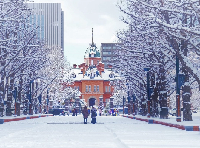 自驾游替代方案