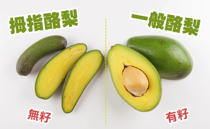 酪梨成熟判斷 酪梨成熟判斷
