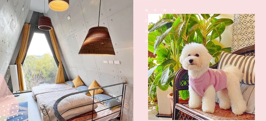 寵物友善民宿台中