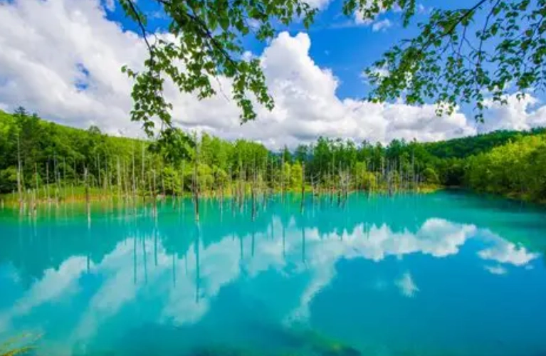 北海道自駕路線