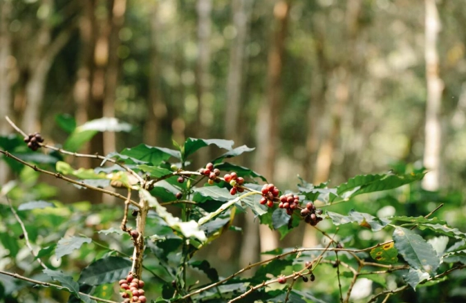 新竹室內約會景點