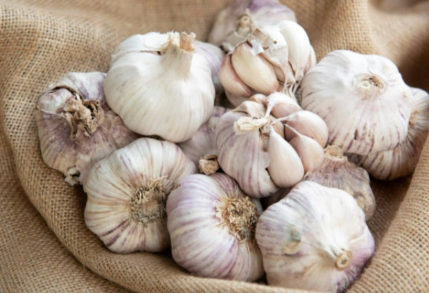 蒜頭抗菌技巧