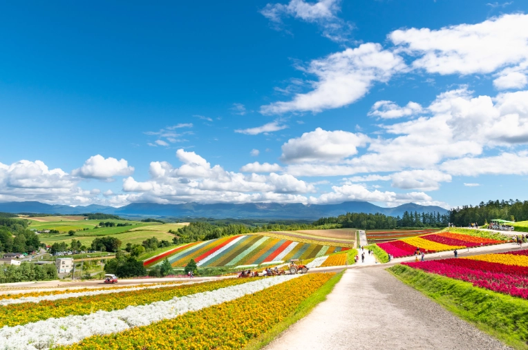 北海道自駕規則 北海道自駕規則