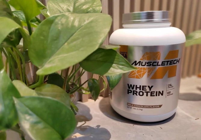 最佳蛋白質補充時間