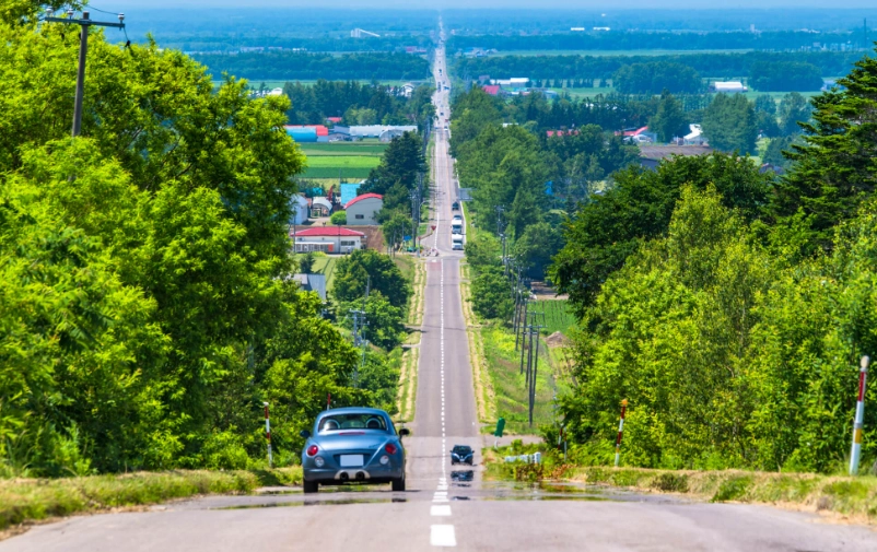 北海道交通替代 北海道交通替代