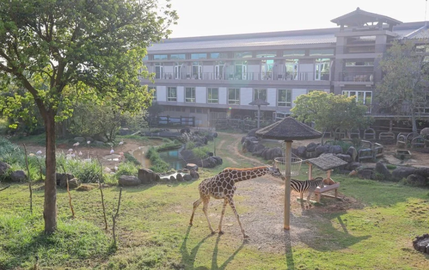 親子生態教育 親子生態教育