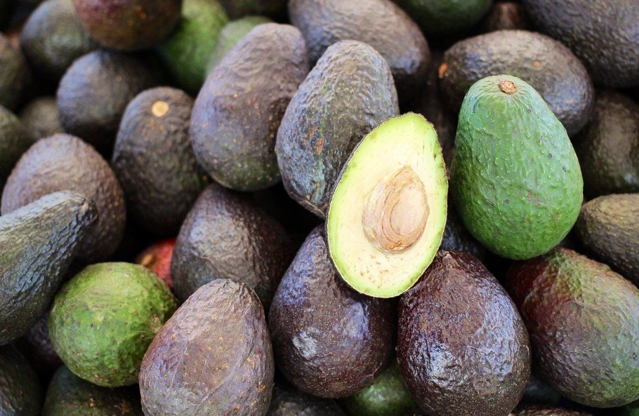 酪梨保存方法 酪梨保存方法