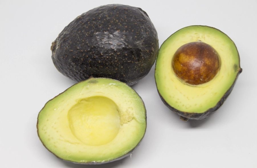 酪梨保存 酪梨保存