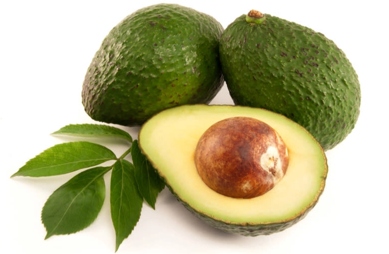 酪梨未熟食用 酪梨未熟食用