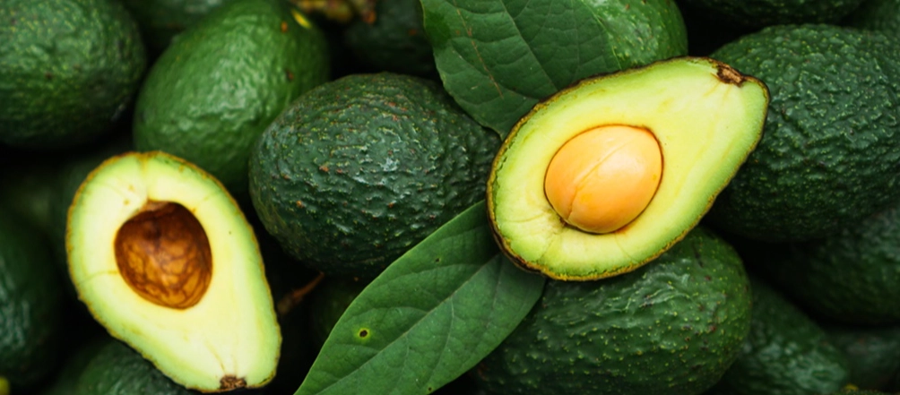 酪梨油減肥方法