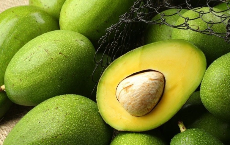 酪梨食用禁忌 酪梨食用禁忌