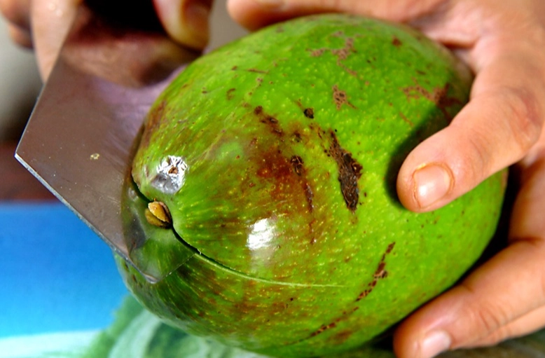 酪梨切法 酪梨切法