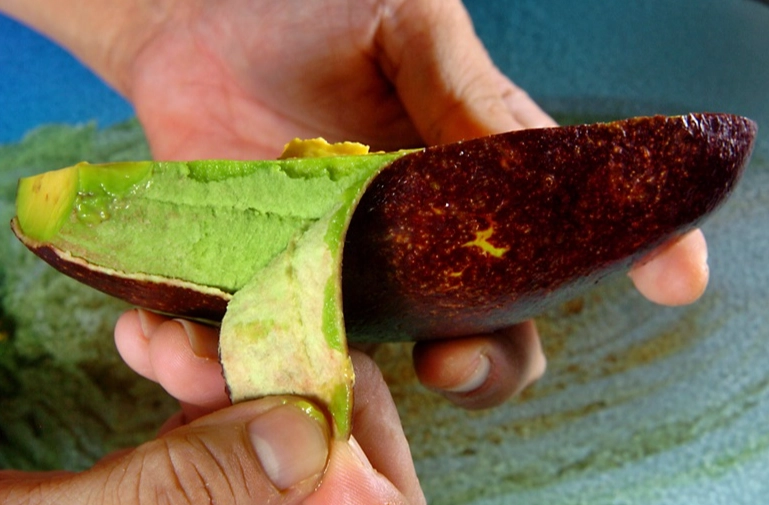 酪梨切法 酪梨切法