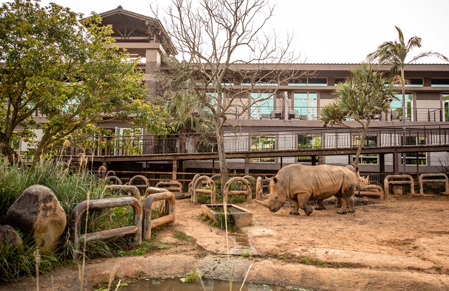 親子生態教育 親子生態教育